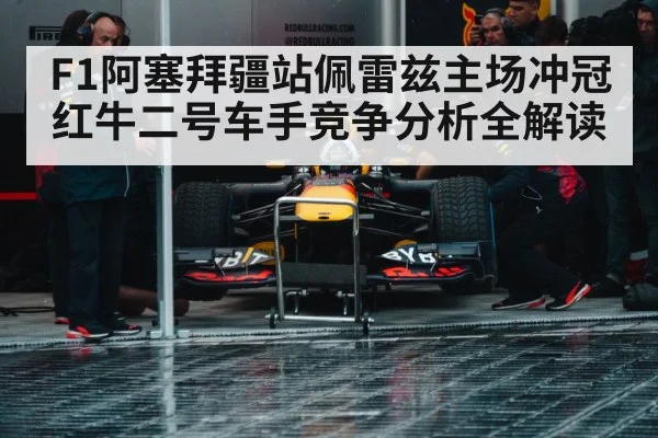 Formula 1 pit stop crew